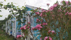 Sardunya Surfing Lodge